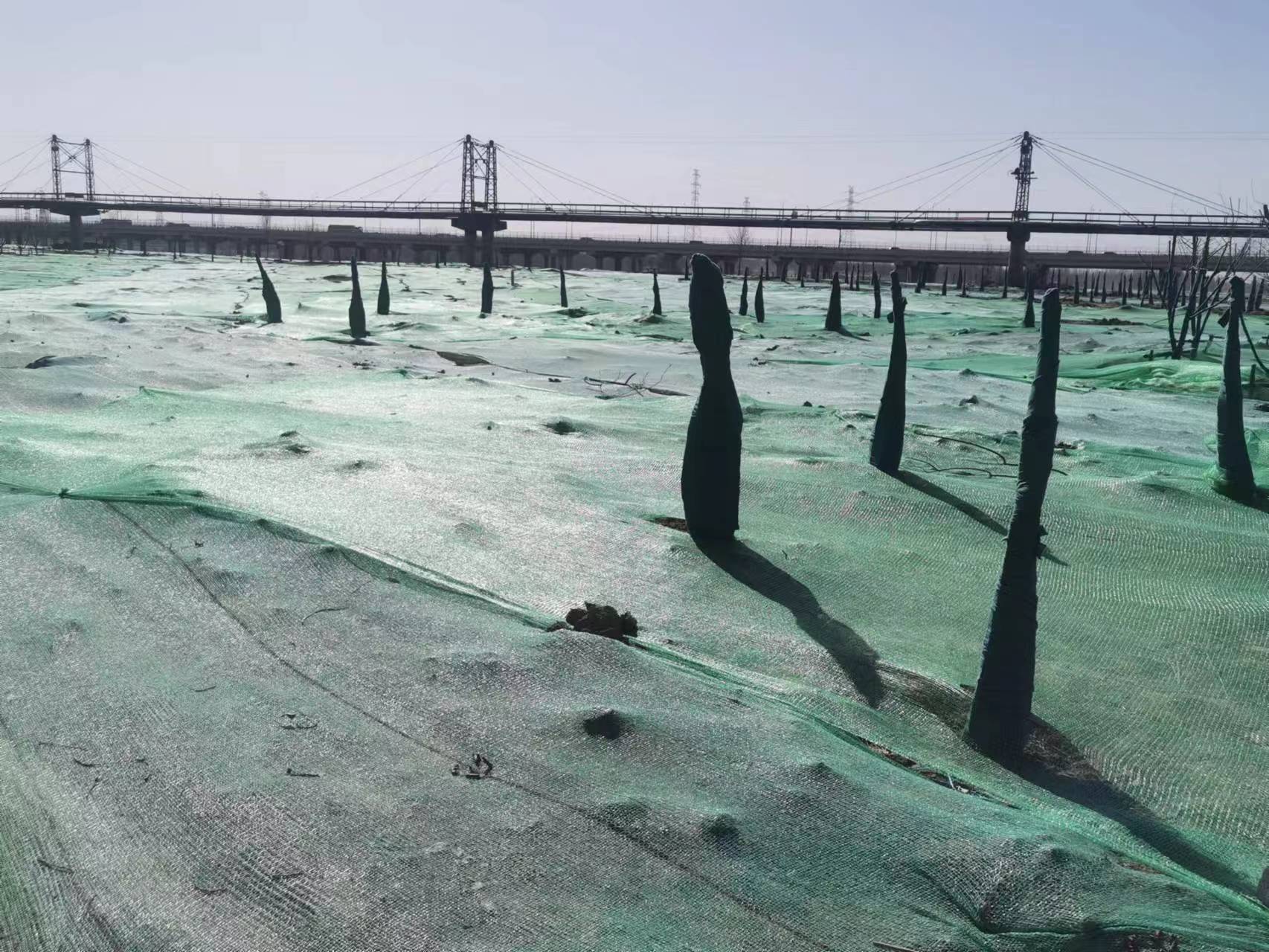 永定河综合治理北京区域迅速应对沙尘蓝色预警 永定河综合治理北京区域迅速应对沙尘蓝色预警