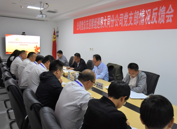 永定河投资公司党总支巡察组向大同分公司党支部反馈巡察情况 永定河投资公司党总支巡察组向大同分公司党支部反馈巡察情况