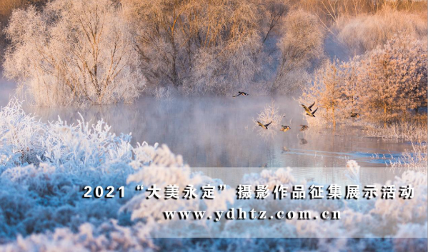 首批征集作品亮相 2021一起发现“大美永定” 首批征集作品亮相 2021一起发现“大美永定”