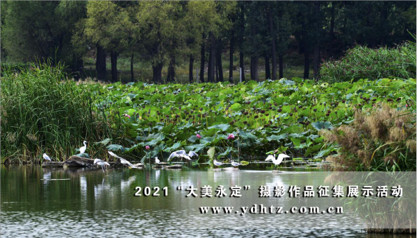 首批征集作品亮相 2021一起发现“大美永定” 首批征集作品亮相 2021一起发现“大美永定”
