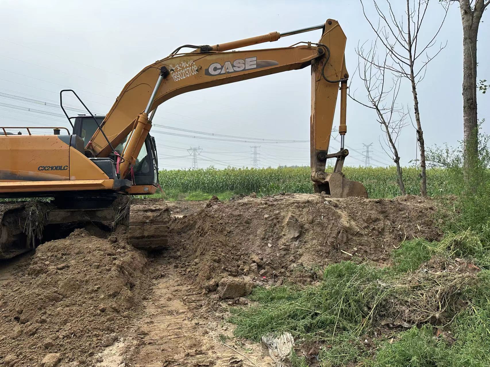 防汛一线 | 天津分公司协助属地政府拆除阻水小埝