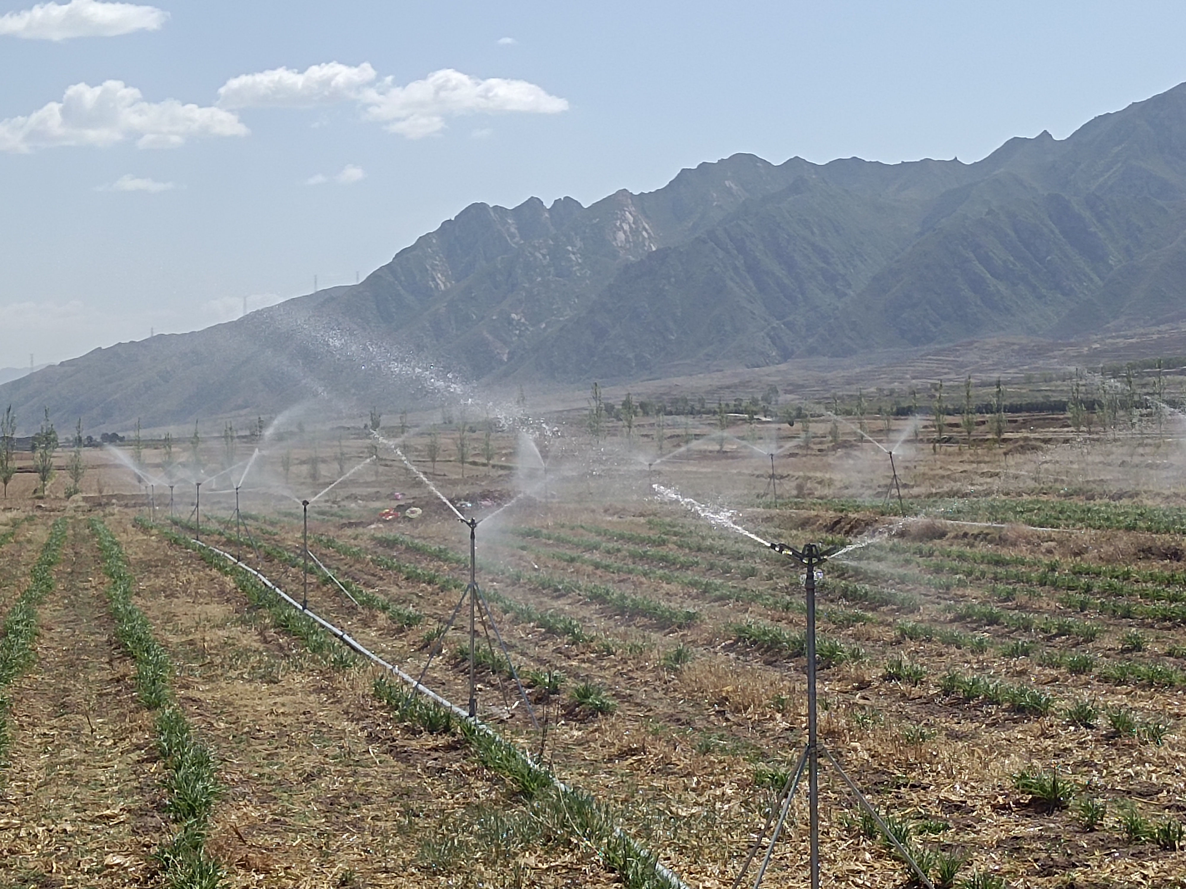 大同分公司 | 阳高县古城镇、鳌石乡等片区农牧交错带高效节水灌溉工程通过竣工验收 大同分公司 | 阳高县古城镇、鳌石乡等片区农牧交错带高效节水灌溉工程通过竣工验收