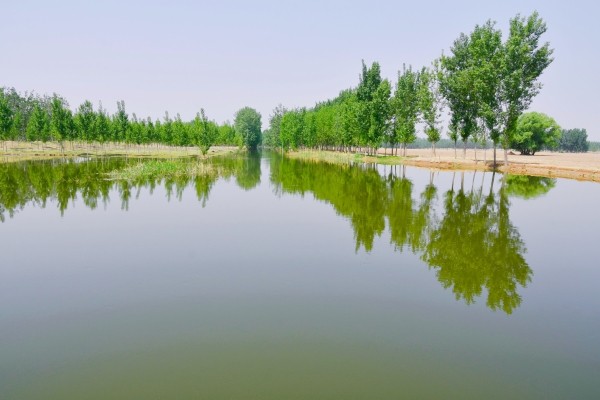 永定河生态补水盎然生机