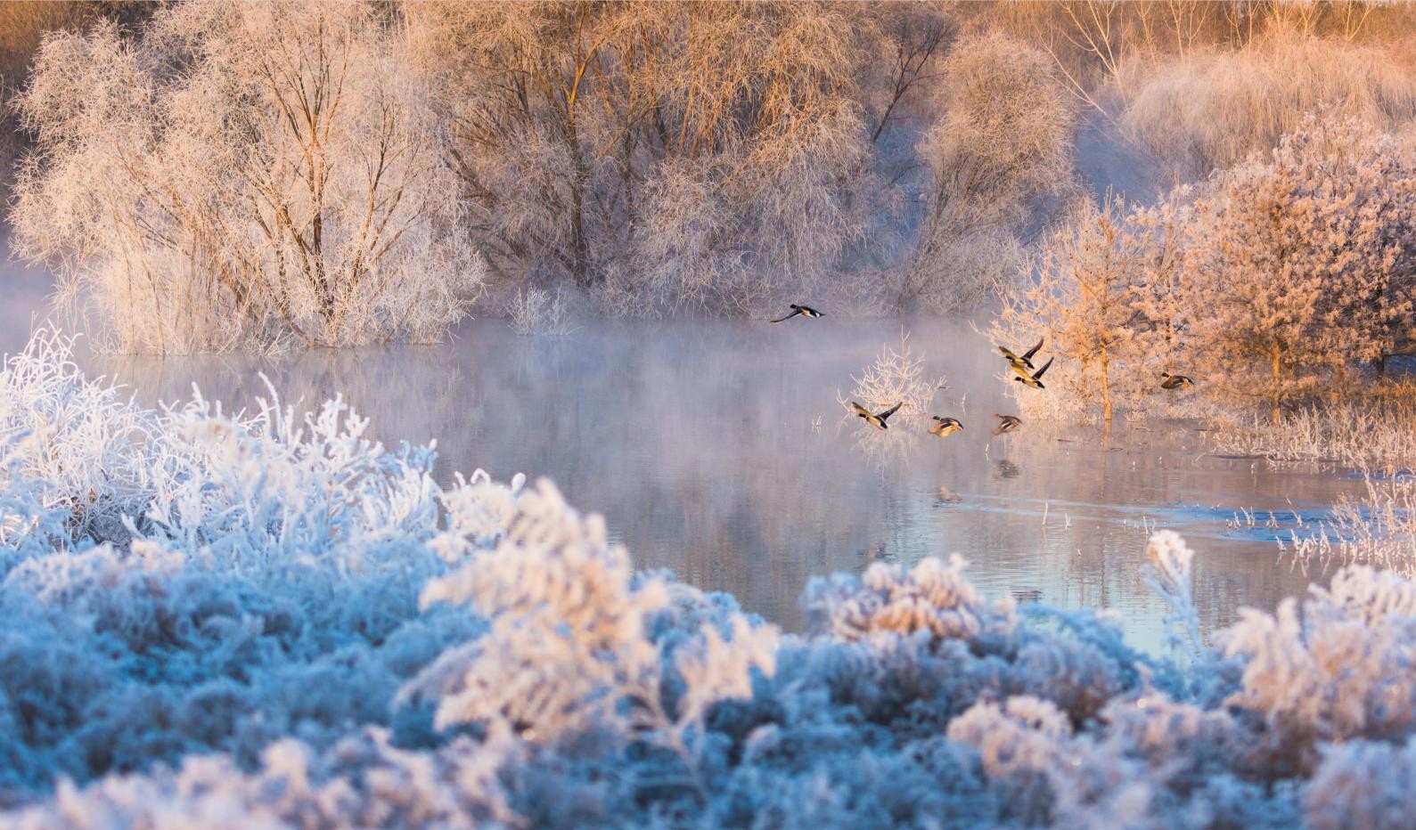 永定河雾凇秘境
