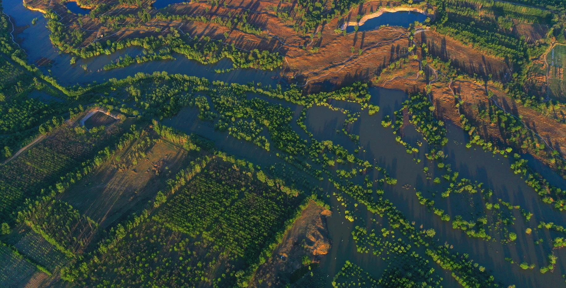 生态补水盎然生机