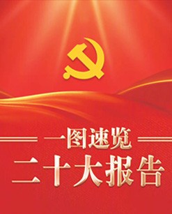 一图速览二十大报告