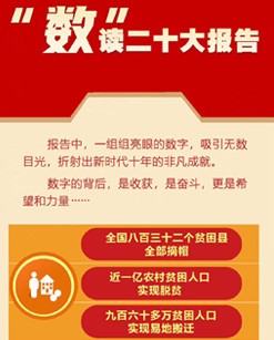 “数”读二十大报告